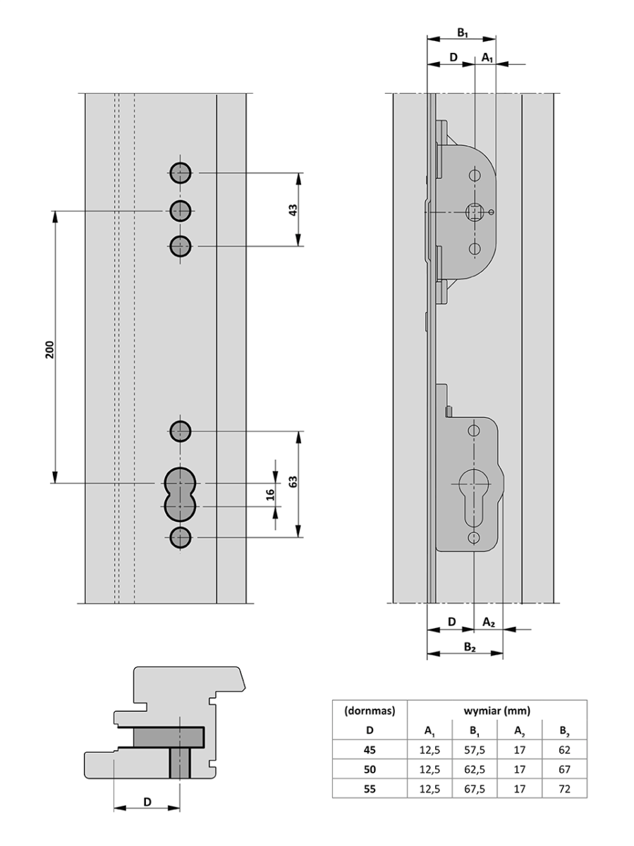 A coi-leader with a patent insert.