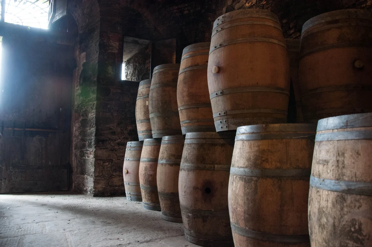 Tuscan wine barrels