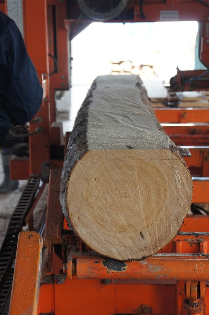 Bois récolté dans les forêts de Tuchola.